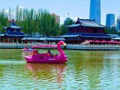 -雁滩公园