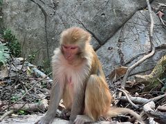 -普洱太阳河森林公园
