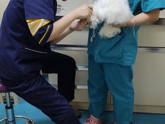 -仁华宠物医院(青羊店)