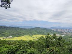 -风云岭森林公园