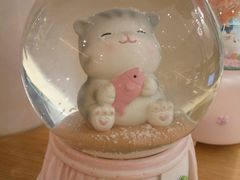 -飞行喵MR PILOT|猫舍·猫咖(静安大融城店)
