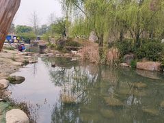-秀丽东方