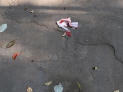 -自贡好吃客(科华店)