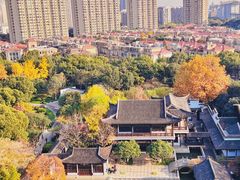 -红梅公园