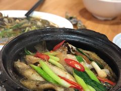 -长平肥姐白粥·海鲜打冷