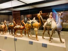 -西安大唐西市博物馆