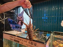 -雍容荟帝王蟹活龙虾展台自助(IFS黑金店)