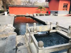 -百脉泉景区