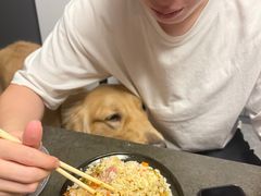 -新疆哈利德餐厅(紫薇都市店)