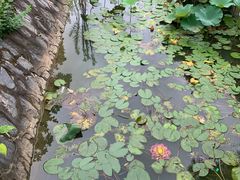 -开福禅寺