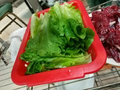 生菜-来自潮州牛肉店(华强北店)