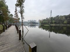 -重庆彩云湖湿地公园
