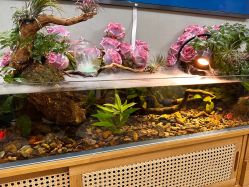 -Lumi露米·美甲美睫品质店