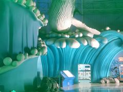 -烟台海昌鲸鲨海洋公园