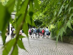 -西湖风景区-江洋畈生态公园
