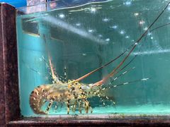 -天天海鲜城·海鲜大排档(新溪店)