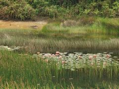 -露天矿生态公园