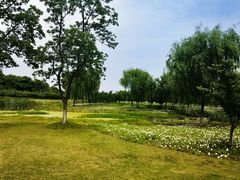 -阳澄湖半岛旅游度假区
