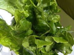 -古乐牛香·鲜牛肉牛杂火锅(新区店)