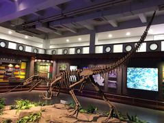 -自贡恐龙博物馆