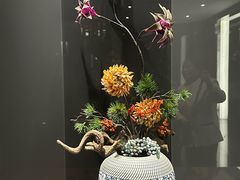 -新廊桥(原科华廊桥店)