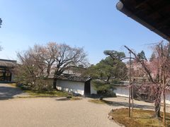 -醍醐寺
