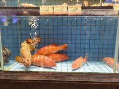 -港澳德兴火锅海鲜酒家(殷皇子店)