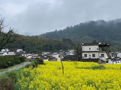 -塔川景区
