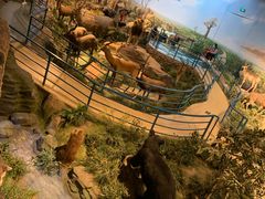 -陕西自然博物馆