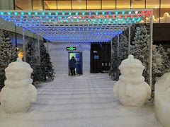 -世界之窗阿尔卑斯冰雪世界