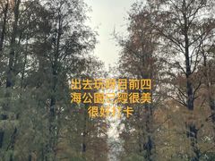 -四海公园(南山区)