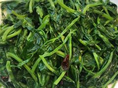 -马帮菜馆·美味野生菌