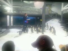-悉尼海洋生物水族馆