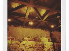 -在路上酒吧(大理古城店)