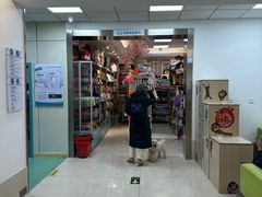 -北京观赏动物医院·24小时大型综合·猫专科·异宠专科