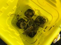 -北海金海湾红树林生态旅游区