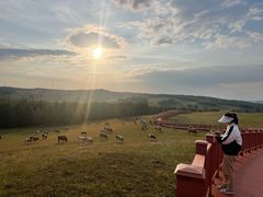 -塞罕坝国家级自然保护区