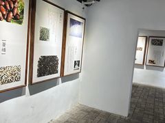-苏州丝绸博物馆