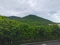 -亚龙湾热带天堂森林公园