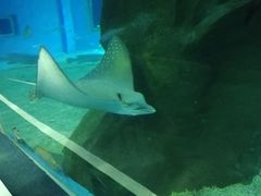 -北戴河圣蓝海洋公园