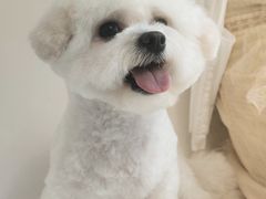 -奈斯宠物医院·核磁CT·异宠专科·内镜(中南店)
