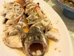 清蒸鲜鲈鱼-博雅渔港·融合菜(维也纳国际大酒店)