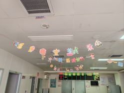 -厦门市妇幼保健院(总院区)