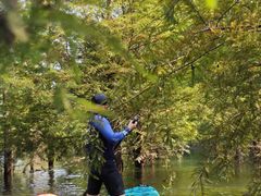 -卢小厨私房菜(长兴店)