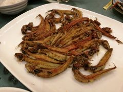 -沙龙酒家