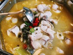 青花椒鲈鱼煲-七裕庄(凯旋南路店)