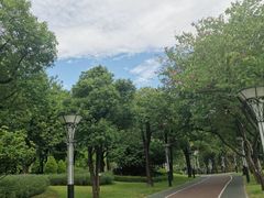 -文华公园(禅城区)