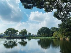 -无锡蠡湖国家湿地公园-蠡园
