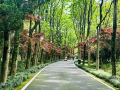 -宜兴龙背山森林公园