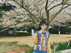 -青岛胶东国际机场
